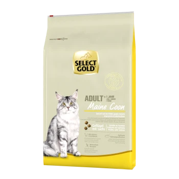 Sac de nourriture pour chats doré pour Maine Coons, avec un chat gris, étiqueté "Adulte" et "Geflügel mit Lachs" (Volaille avec Saumon).
