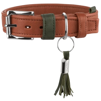 Braunes Lederhalsband mit silberner Schnalle und Ring, grünem Ledersteg und Quastenanhänger mit Metallplakette mit Gravur 'HUNTER'.