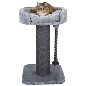 Eine flauschige Katze, die auf einem grauen Plüsch-Katzenbaum mit einem runden Bett oben entspannt, mit einem hohen Kratzbaum und einem geflochtenen Seilspielzeug.