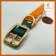 Nahaufnahme eines stilvollen Hundehalsbands mit einer orange-weißen Borte, grünem Riemen, goldener Schnalle und einem Holzschild "WILDFANG".