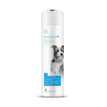 Shampoo EC, 2x 250ml Flasche mit pflanzenbasiertem Hundeshampoo mit einem Bild eines schwarz-weißen Hundes, beschriftet mit 'SHAMPOO' und 'Insektenabwehr' für Insektenschutz.