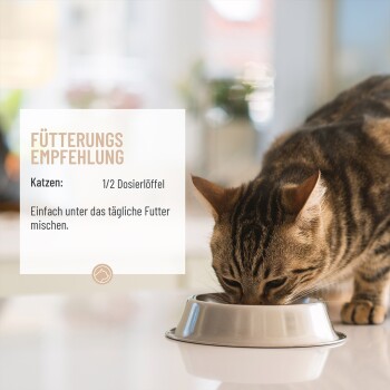 Katzensupplement-Pulver mit der Aufschrift "REAVET Magenmild Soforteffekt," das Vorteile wie beruhigende Wirkungen, natürliche Inhaltsstoffe und einfache Dosierung hervorhebt.