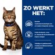 Een tabby kat met een blauwe halsband zit voor een blauwe achtergrond met tekst over de reinigingstechnologie en voordelen van huisdierenvoer.