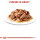 Plate of pet food featuring chunks of meat in gravy, with the text "CHUNKS IN GRAVY" prominently displayed above.