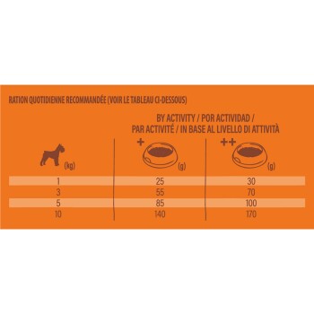 Tableau des recommandations alimentaires quotidiennes pour les chiens, montrant les quantités de nourriture en grammes en fonction du poids et du niveau d'activité.