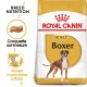 Boxer Adulte Croquettes Chien 12 kg