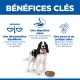 Chien avec une gamelle de croquettes sous le titre « BÉNÉFICES CLÉS » et textes en français : alimentation équilibrée ; digestion saine ; peau et pelage sains