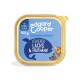 Edgard Cooper Hundefutterverpackung, 150g, mit blauem Hintergrund, Text 'Leckerer Lachs & Truthahn' und 'Getreidefreie Rezeptur'.