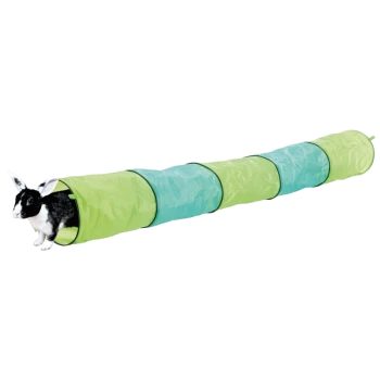 Ein schwarz-weißer Hase taucht aus einem bunten Spieltunnel auf, der zwischen grünen und blauen Abschnitten wechselt.