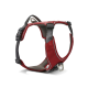 Rotes gepolstertes Hundegeschirr mit grauen Riemen, verstellbaren Schnallen und zwei Metall-Leinenbefestigungen (vorne und hinten).