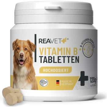 Behälter mit REAVET Vitamin B Tabletten für Hunde, mit einem lächelnden Hund und dem Text: "Hochdosiert mit 8 Vitaminen," "Made in Germany."