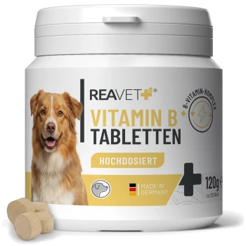 Behälter mit REAVET Vitamin B Tabletten für Hunde, mit einem lächelnden Hund und dem Text: "Hochdosiert mit 8 Vitaminen," "Made in Germany."