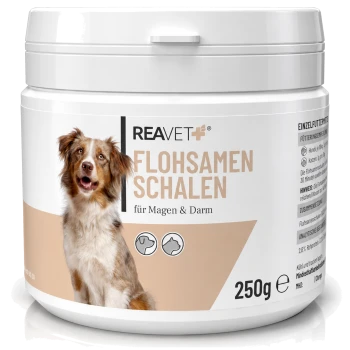 Behälter mit REAVET Flohsamen Schalen (Psylliumschalen) für Hunde, 250g, mit einem glücklichen Hund auf dem Etikett und Text in deutscher Sprache.