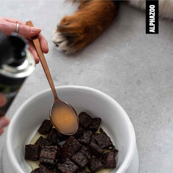 Eine Hand, die einen Löffel hält, träufelt Flüssigkeit über dunkles, würfelförmiges Haustierfutter in einer weißen Schüssel, mit einer Hundepfote im Hintergrund.