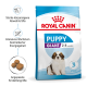 Royal Canin Puppy Giant Hundefutterbeutel für Welpen von 2-8 Monaten, mit einem Bernhardiner und Informationen zur Immununterstützung und Energiekontrolle.