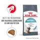 Royal Canin Haarball Katzenfutterbeutel, mit einer Katzen-Grafik, behauptet, die Bildung von Haarballen in 14 Tagen zu reduzieren, mit einem abgebildeten Krokettenstück.