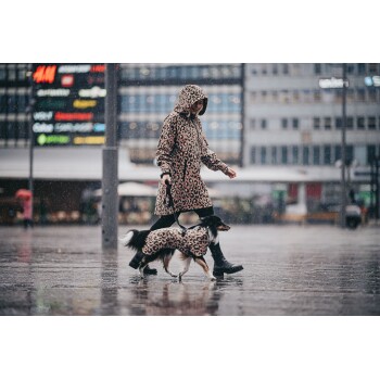 Eine Person in einem Regenmantel mit Leopardenmuster führt einen kleinen Hund, der ebenfalls einen passenden Regenmantel trägt, auf einer regnerischen Straße.