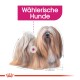 Illustration eines flauschigen, langhaarigen Hundes mit einem markanten Gesicht, mit der Beschriftung "Wählerische Hunde" oben.