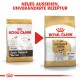 Zwei Säcke Royal Canin Hundefutter für Jack Russell Terrier mit neuem Design und unveränderter Rezeptur. Text: "NEUES AUSSEHEN, UNVERÄNDERTE REZEPTUR."