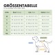 Graue Haustierjacke mit Kapuze, mit reflektierenden Details für Sicherheit, beschriftet mit "Sicherheit im Fokus" und "PAW WOW."