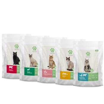 Fünf Tüten Katzenfutter der Marke Felicita, mit verschiedenen Geschmacksrichtungen und einer Vielzahl von Katzenbildern auf der Verpackung.