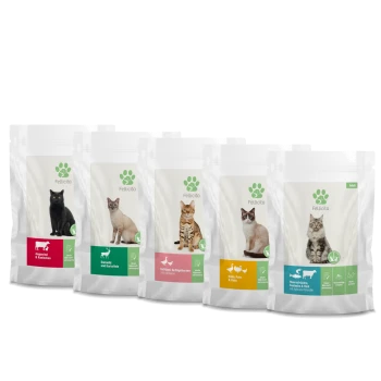 Fünf Tüten Katzenfutter der Marke Felicita, mit verschiedenen Geschmacksrichtungen und einer Vielzahl von Katzenbildern auf der Verpackung.