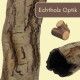 Hohles natürliches Rindenstamm-Versteck mit rauer Rindenstruktur, Label 'Echtholz Optik' und Grafik eines Schnittstamms.