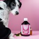 Ein schwarz-weißer Hund sitzt neben einer Flasche mit der Aufschrift "Läufigkeits Saft" (500ml) auf einem rosa Hintergrund, mit Kräutern und Blumen in der Nähe.