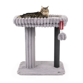 Eine flauschige graue Katze, die auf einem plüschigen Katzenbaum mit einem runden Oberteil sitzt, der einen Kratzbaum und ein baumelndes Pom-Pom-Spielzeug hat.