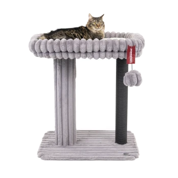 Eine flauschige graue Katze, die auf einem plüschigen Katzenbaum mit einem runden Oberteil sitzt, der einen Kratzbaum und ein baumelndes Pom-Pom-Spielzeug hat.