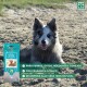 Reinigungs- und Desodorierungstücher für alle Arten von Haustieren (24 Stück)
