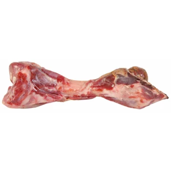 Hundesnack Schinkenknochen, 24 cm 390 g Roher fleischiger Knochen für Hunde, mit einer rosa-roten Farbe und sichtbarem Fett und Muskel, ideal zum Kauen und für die Zahngesundheit.