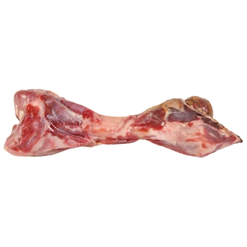 Roher fleischiger Knochen für Hunde, mit einer rosa-roten Farbe und sichtbarem Fett und Muskel, ideal zum Kauen und für die Zahngesundheit.
