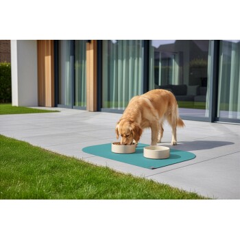 Golden Retriever frisst aus einer beigen Schüssel auf einer türkisfarbenen Matte vor einem modernen Haus mit Glastüren.