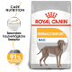 Royal Canin Dermacomfort Maxi Hundefutterbeutel mit einem Weimaraner, mit Text, der die Pflegeernährung und ein spezielles Rezept für Hautempfindlichkeit hervorhebt.