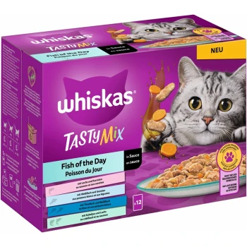 Whiskas TastyMix Katzenfutterbox mit einer grauen Katze, beschriftet mit "Fish of the Day" in Sauce, mit Bildern von Trockenfutter und Karotten.