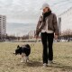 Junge Person mit Mütze und Jacke führt einen schwarz-weißen Border Collie an der Leine in einem Stadtpark.