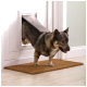 Ein verspielter Hund kommt aus einer Haustür, mit seinen Vorderpfoten auf einer braunen Matte. Die Tür ist weiß mit einer Metallklappe.