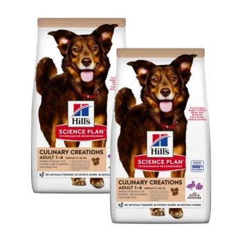 Dwie torby karmy dla psów Hill's Science Plan, oznaczone "Culinary Creations Adult 1-6", z wizerunkiem szczęśliwego brązowego psa z przodu.