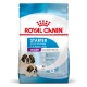 Royal Canin Starter-Hundefutter für Riesenrassen, geeignet für Mütter und Welpen im Alter von 1-2 Monaten, mit Bildern von Bernhardinern.