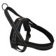 Black dog harness with reflective stitching and a metal D-ring for leash attachment, designed for comfort and safety.
