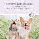 Zwei glückliche Hunde, ein kleiner Mischling und ein Corgi, lächeln in einem grasbewachsenen Bereich. Deutscher Text fördert die Verdauungsgesundheit mit Prä- und Probiotika.