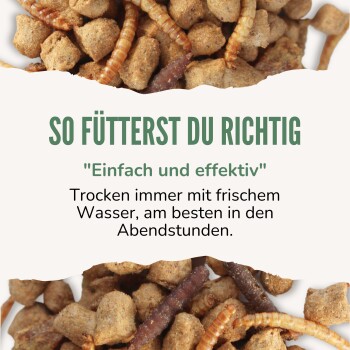 Bild von Tierfutter mit Trockenfutter und Mehlwürmern; Text: 'SO FÜTTERST DU RICHTIG - 'Einfach und effektiv' - Trocken mit frischem Wasser.'