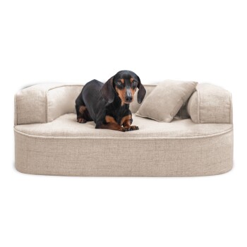 Ein schwarz-brauner Dackel steht auf einem plüschigen, hellbeigen Hundebett mit einem kleinen Kissen, vor einem Holzboden.