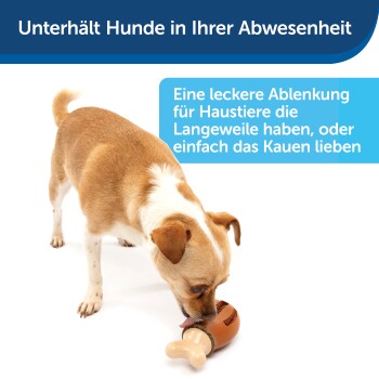 Ein kleiner braun-weißer Hund spielt mit einem knochenförmigen Kauspielzeug, mit Text über die Unterhaltung von Haustieren in Ihrer Abwesenheit.