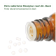Braune Flasche mit einem weißen Deckel, umgeben von kleinen weißen Pellets, beschriftet mit "Rein natürliche Rezeptur nach Dr. Bach", was auf eine natürliche Formel hinweist.