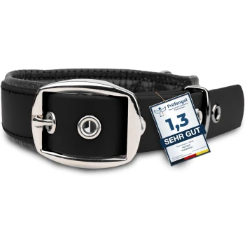veganes Hundehalsband schwarz XS Schwarzes Hundehalsband mit einer silbernen Schnalle, mit einem Qualitätssiegel, das "1,3 SEHR GUT" von Prüfengel liest.