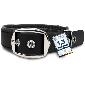 Schwarzes Hundehalsband mit einer silbernen Schnalle, mit einem Qualitätssiegel, das "1,3 SEHR GUT" von Prüfengel liest.
