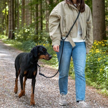 Person in beiger Jacke und Jeans hält eine schwarze Leine und geht mit einem schwarz-braunen Dobermann auf einem bewaldeten Kiesweg spazieren.