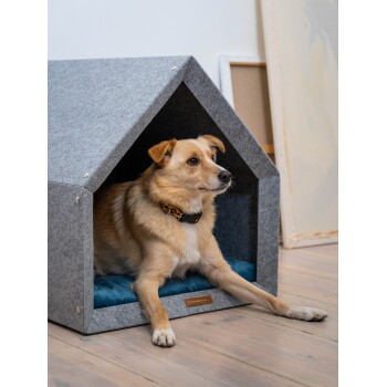 Ein tanfarbener Hund mit einem schwarzen Halsband entspannt sich in einem gemütlichen grauen Filzhundehäuschen mit einem blauen Kissen, auf einem Holzboden.